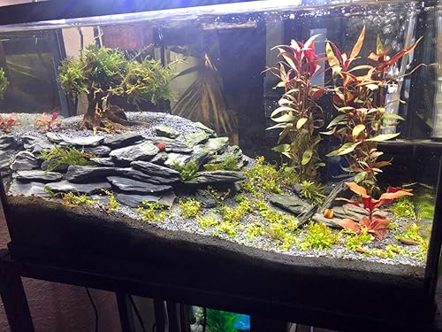 Miniatura 5 de Voulosimi Rocas de pizarra natural, piedra neutra, pH, rocas perfectas para acuarios, modelo de paisajismo, decoración de tanques, recintos de