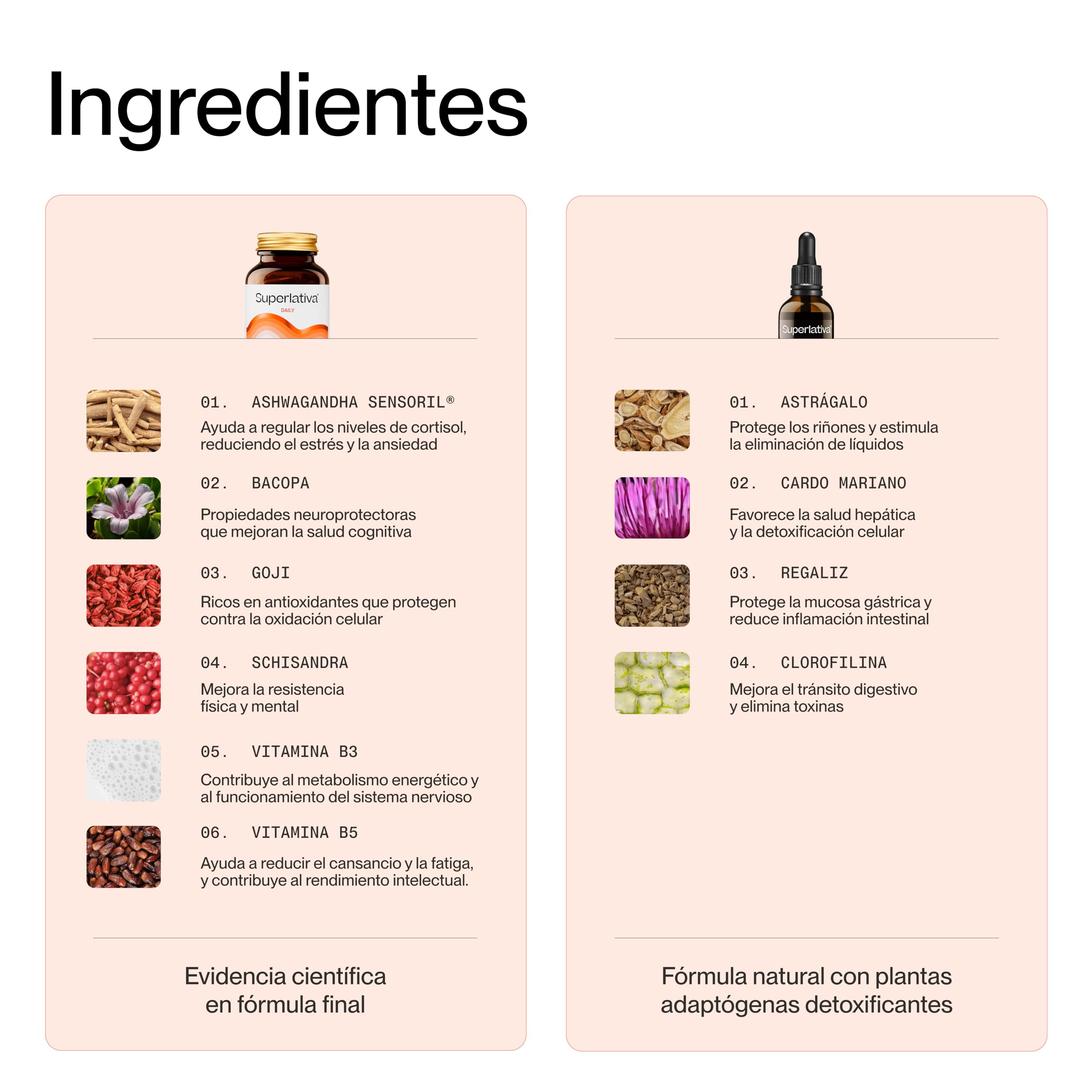Pack Detox + Antiestrés Natural – Clean con Cardo Mariano y Electra con Ashwagandha Sensoril® – Apoya Hígado, Sueño y Bienestar – 120 Cápsulas Veganas