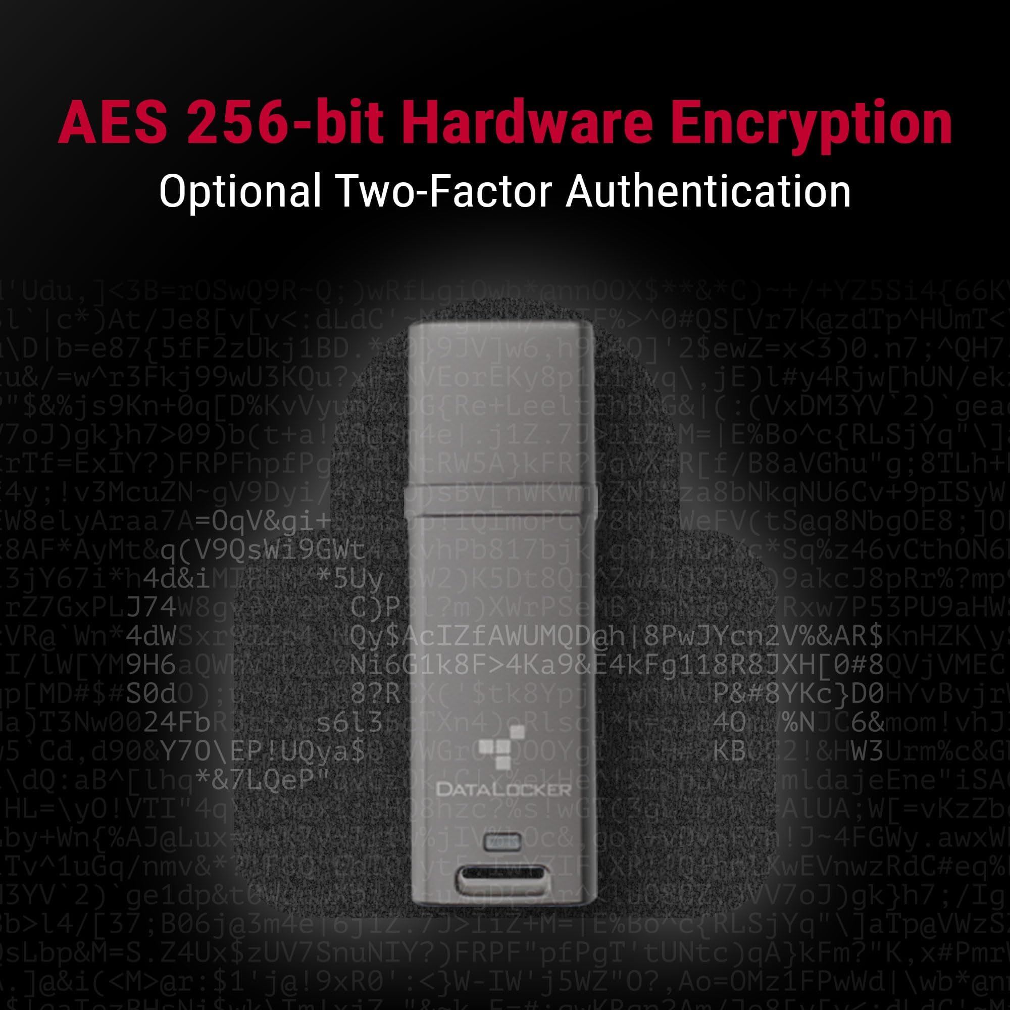 Amazon.com: DataLocker DL GO Encrypted USB Flash Drive | USB 3.2 Gen 1 | AES  256-bit XTS | FIPS 197 | IP68 Rugged | TAA Compliant - 16GB : Electronics