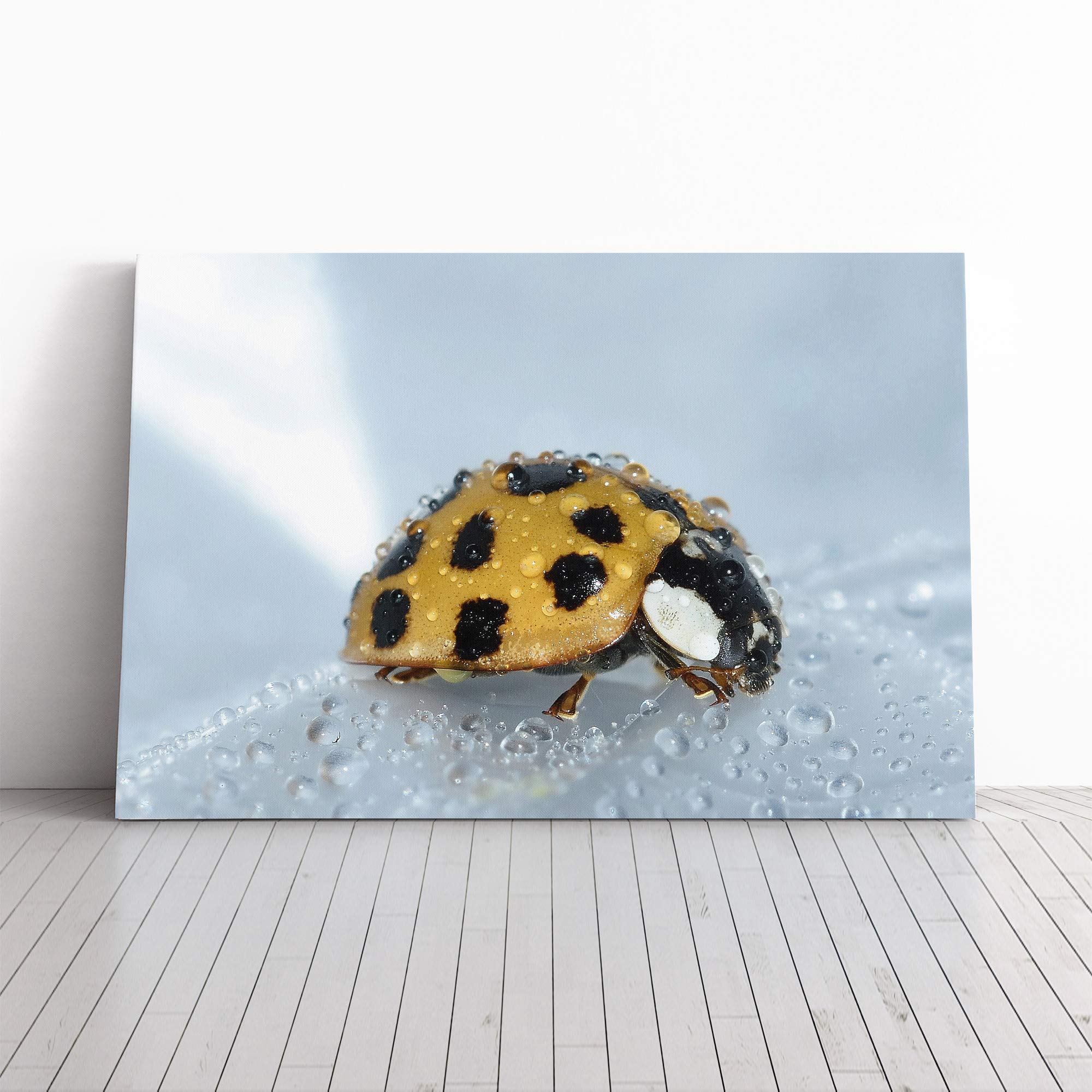 Yellow Ladybird Canvas Print | Gallery Wrapped 30mm Frame Wall Art | 24x16 inches | Ready to Hang | Modern Animals Picture | Living Room Bedroom Lounge Office