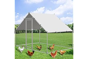 Spacious Metal Chicken Coop for Secure and Comfortable Poultry Housing