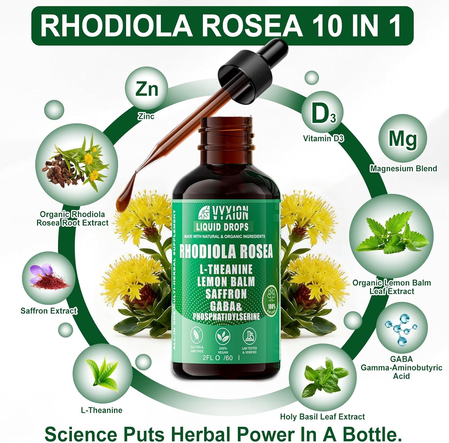 Vyxion Rhodiola Rosea Organic Extract Liquid 10-in-1 | Rhodiola, Saffron, GABA, L-Theanine | Supports Mood, Calm & Energy | 60ml, Vegan, Alcohol-Free