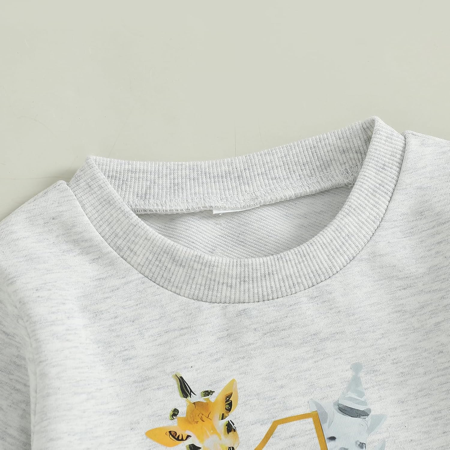 WZTYYDS Baby Boy First Birthday Outfit Long Sleeve Sweatshirt Tops Wild One Birthday Shirt Pants Set Fall Clothes - Image 4