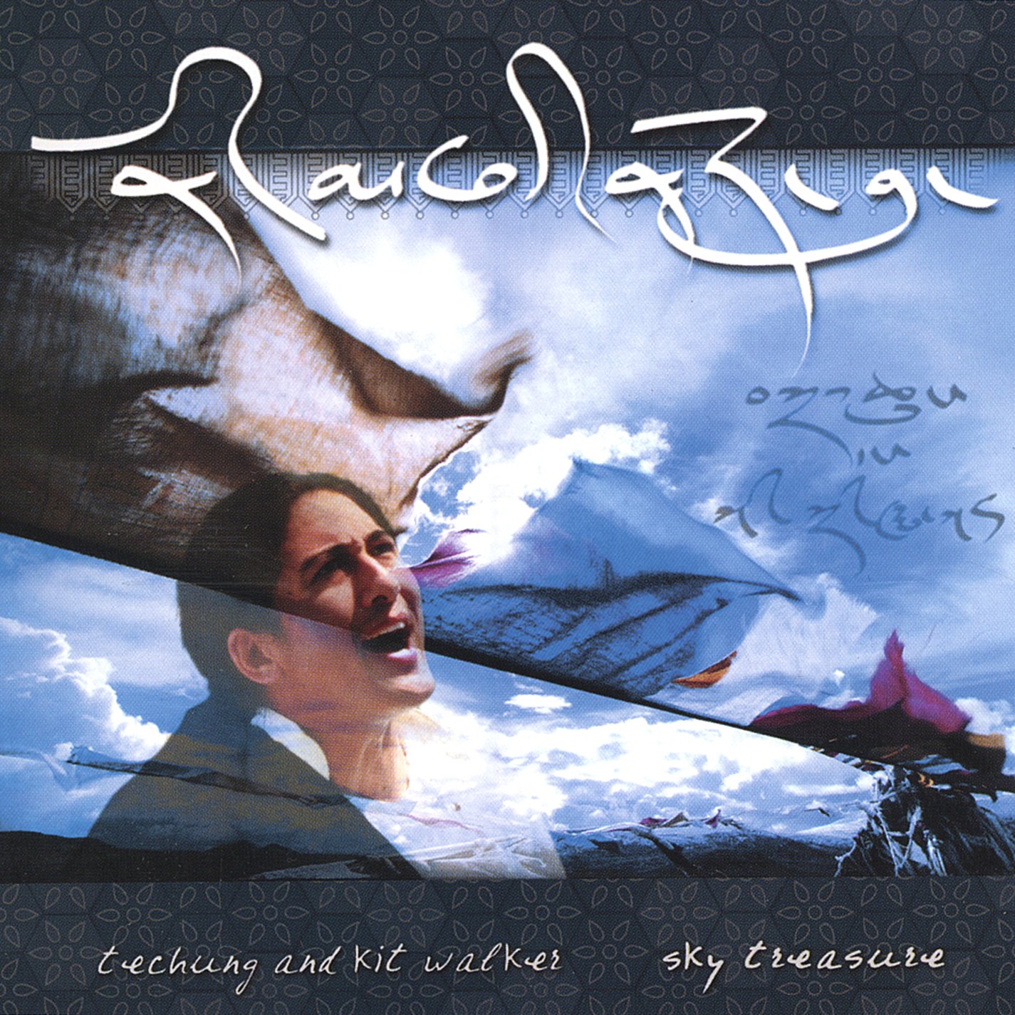 Sky Treasure [Audio CD]