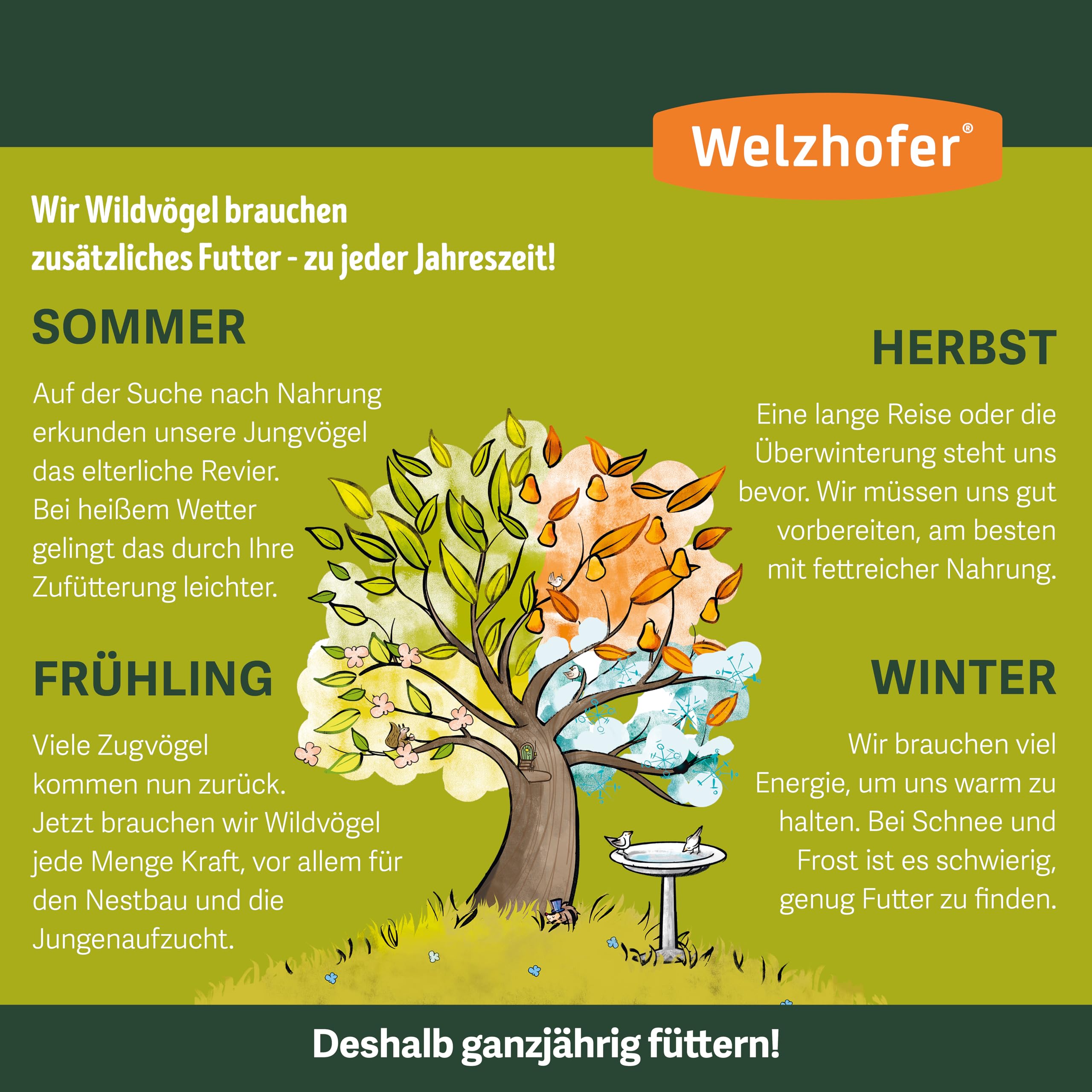 Spezialfutter 10kg - Schalenlose Mischung für Wildvögel für Balkon & Terrasse, perfekt für Beeren- & Körnerfresser. Gesunde Ernährung, Basis für Vitalität & Starkes Immunsystem