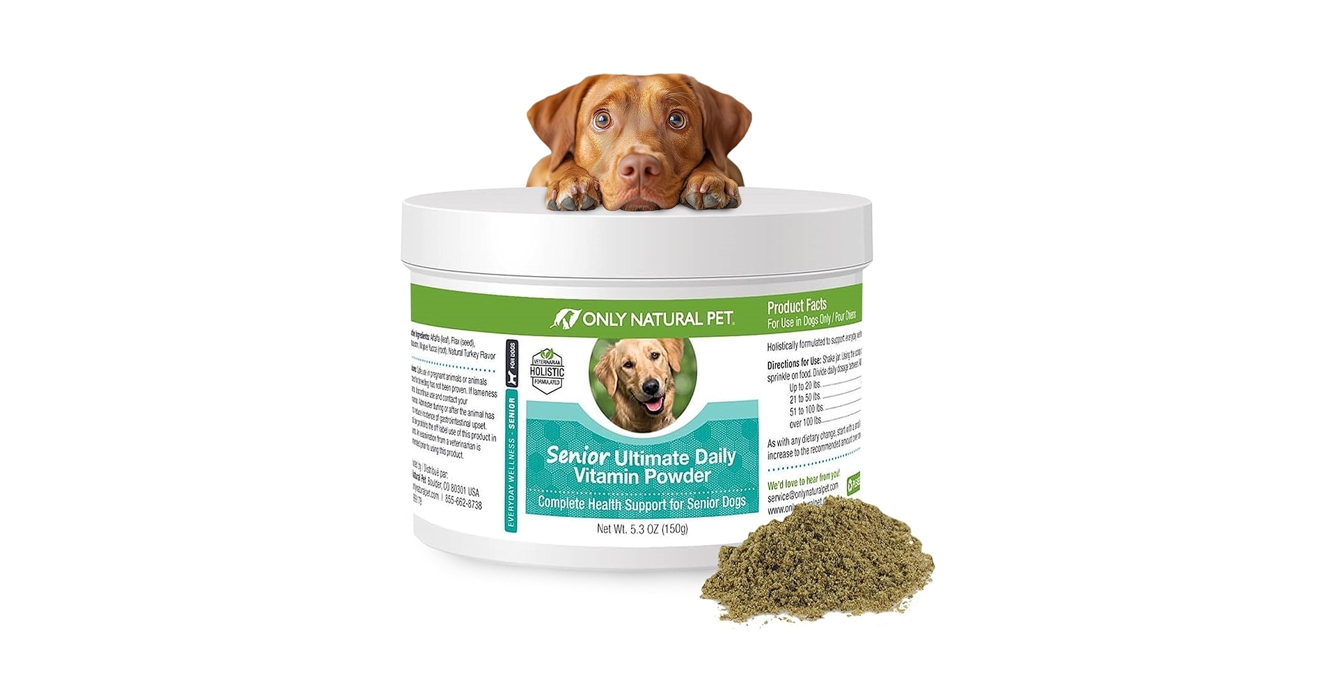 What To Feed An Old Dog: Top Nutritious Foods for Longevity