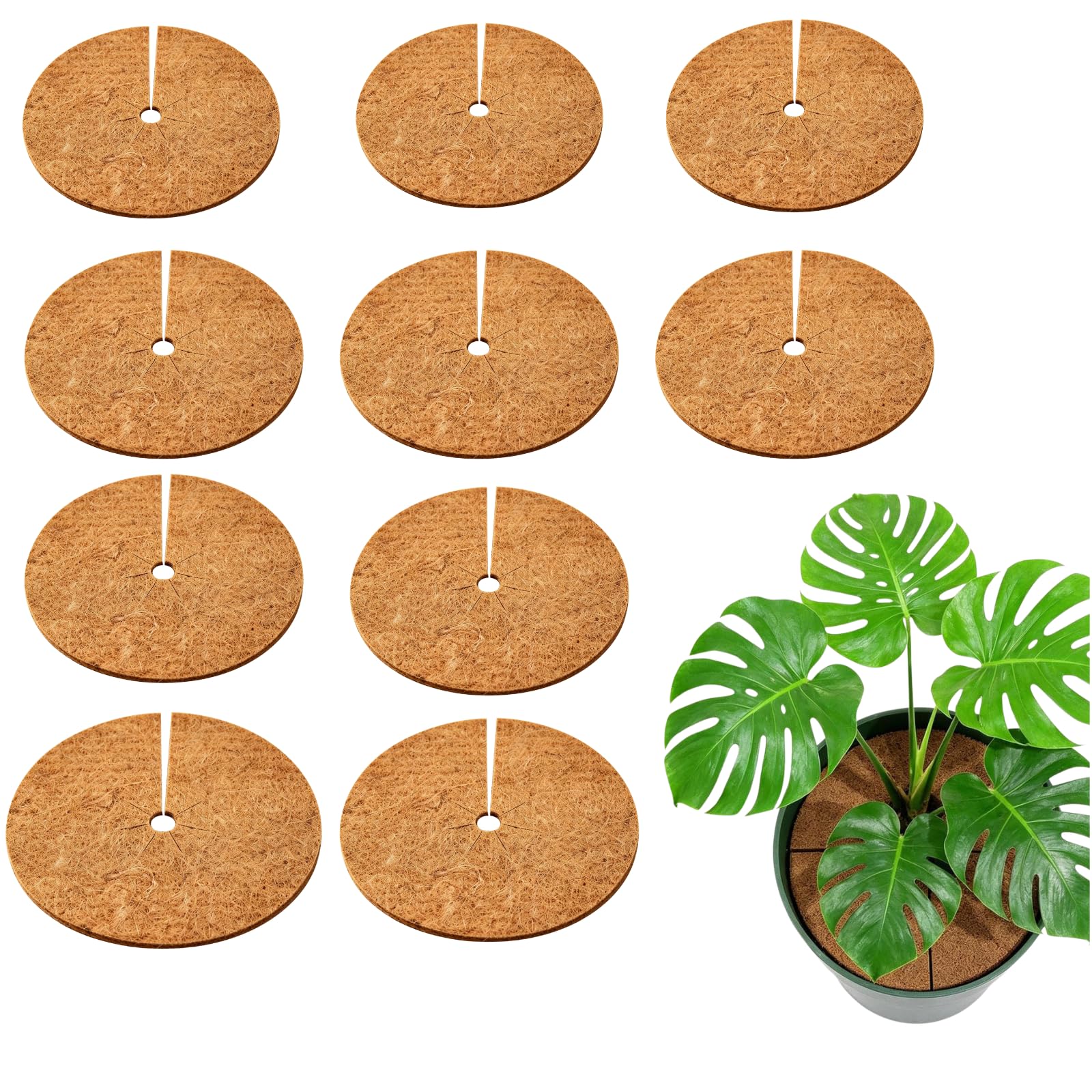 10Pcs Coconut Coir Frost Protection Mat, 30x30cm Round Flat Mulch Mat, Coir Tree Rings for Potted Plants, Winter Root Protection & Weed Control, Biodegradable Coco Fibre Discs (Brown)