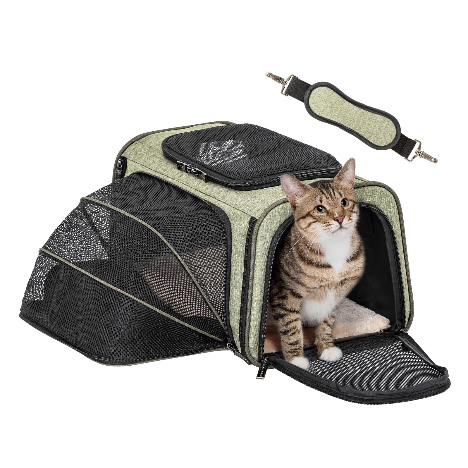 Petsfit Expandable Rabbit Carrier Small Cat Carrier Airline Approved, 16X10X9 Inches Soft-Sided Portable Small Animal Travel Bag for Kitten/Puppy/Bunny/Guinea Pig