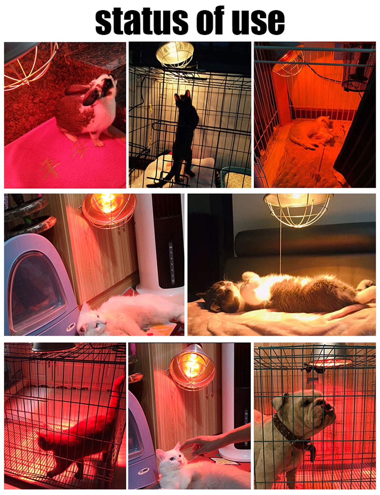Lámpara de calor para animales, luz de calefacción infrarroja para cachorros, aves y gatitos, pantalla de aluminio, perfecta para criar y mantener el calor