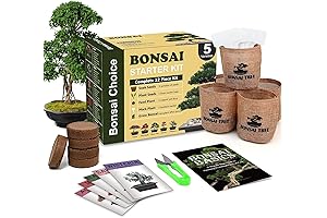 Indoor Starter Kit for Gardening DIY Projects.