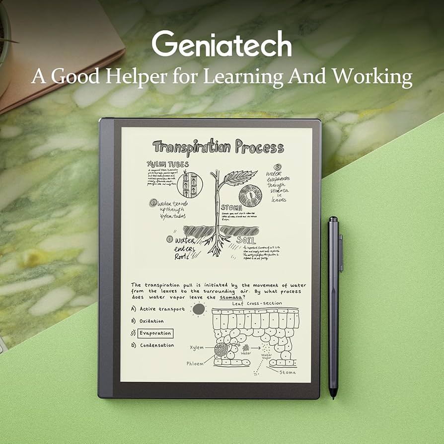 健康・医学 year note/Quick Check 健康・医学 year note/Quick Check Editable Urgent Care Excuse