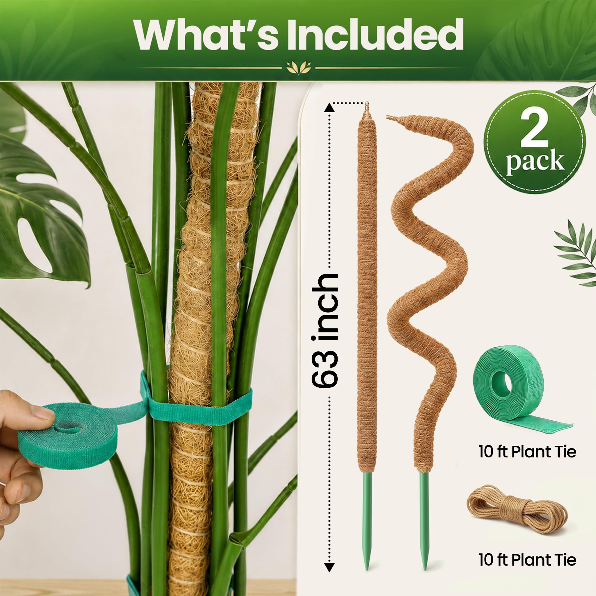 K-Brands Lot de 2 piquets en Mousse – Support de Plante Monstera de 160 cm – Poteaux en Mousse pour Plantes grimpantes Monstera – Support Pliable pour Plantes d'intérieur