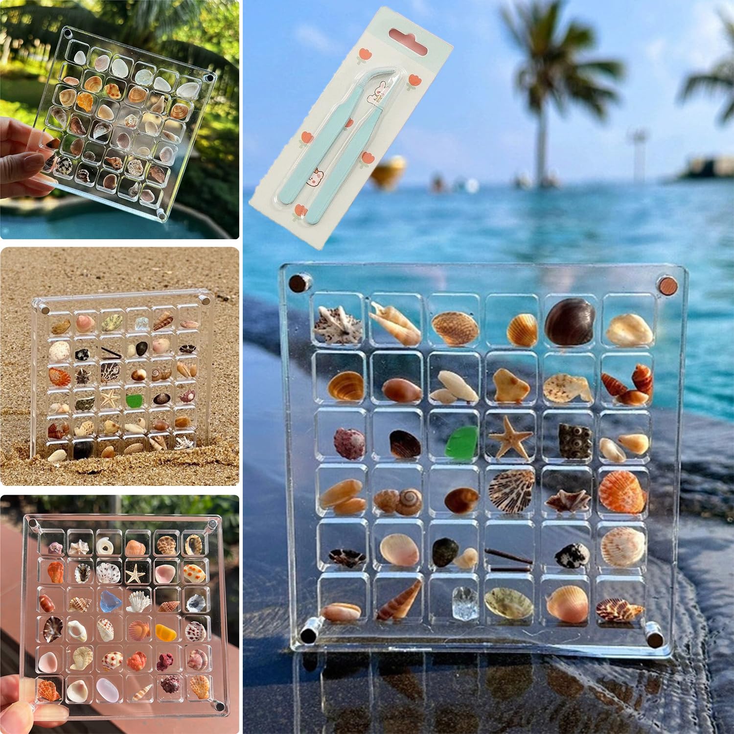 muschel aufbewahrung Magnetische Muschel-Displaybox aus Acryl, Acrylic Magnetic Seashell Display Box, 36 Gitter Transparent Acryl Aufbewahrungsbox Ausstellungsbox, Diamant Edelstein Schmuck Organizer Box Küche, Haushalt & Wohnen Farbe:black-melange Nordic Kitchen Aufbewahrungskiste von Farben