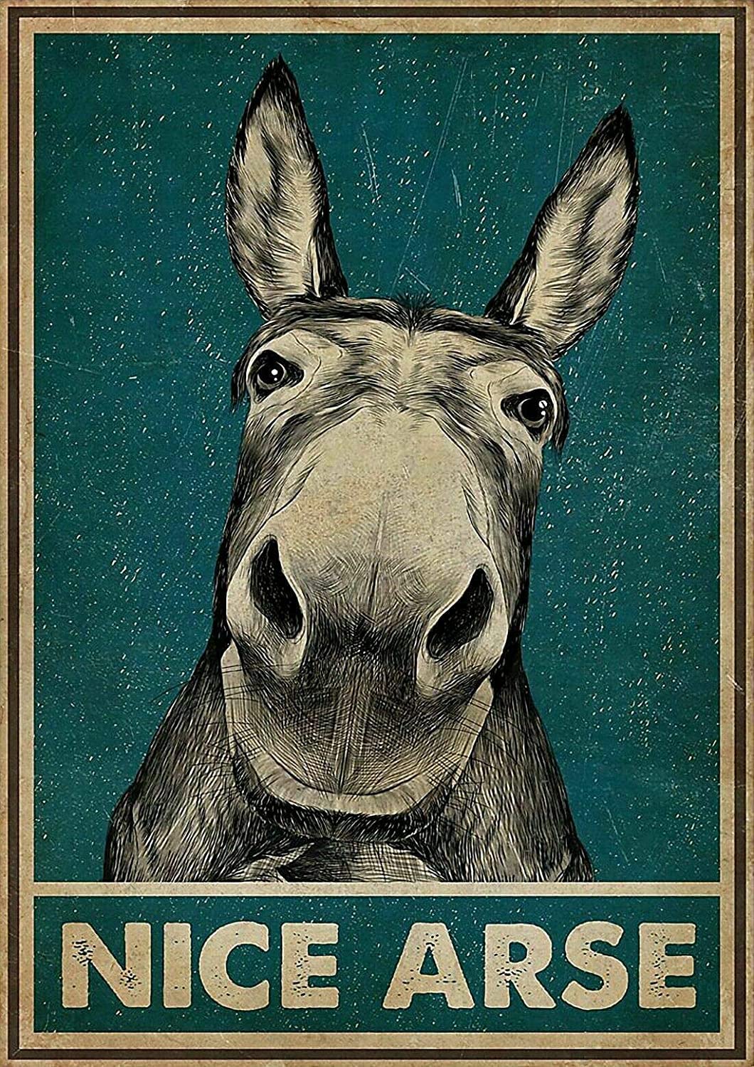 Rifosa A22 6"X8" Funny Donkey Tin Metal Sign Wall Art Plaque Garden House Signs