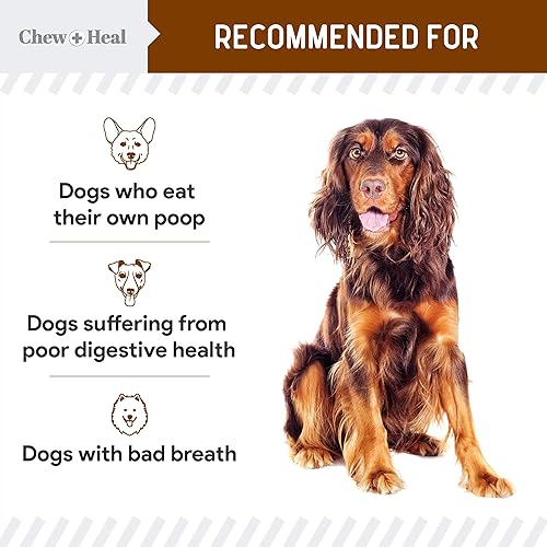 Miniatura 22 de No Poo Chews - Masticables para perros, 120 masticables suaves, sabor a pollo, sin picaduras de caca, tratamiento de coprofagia para perros