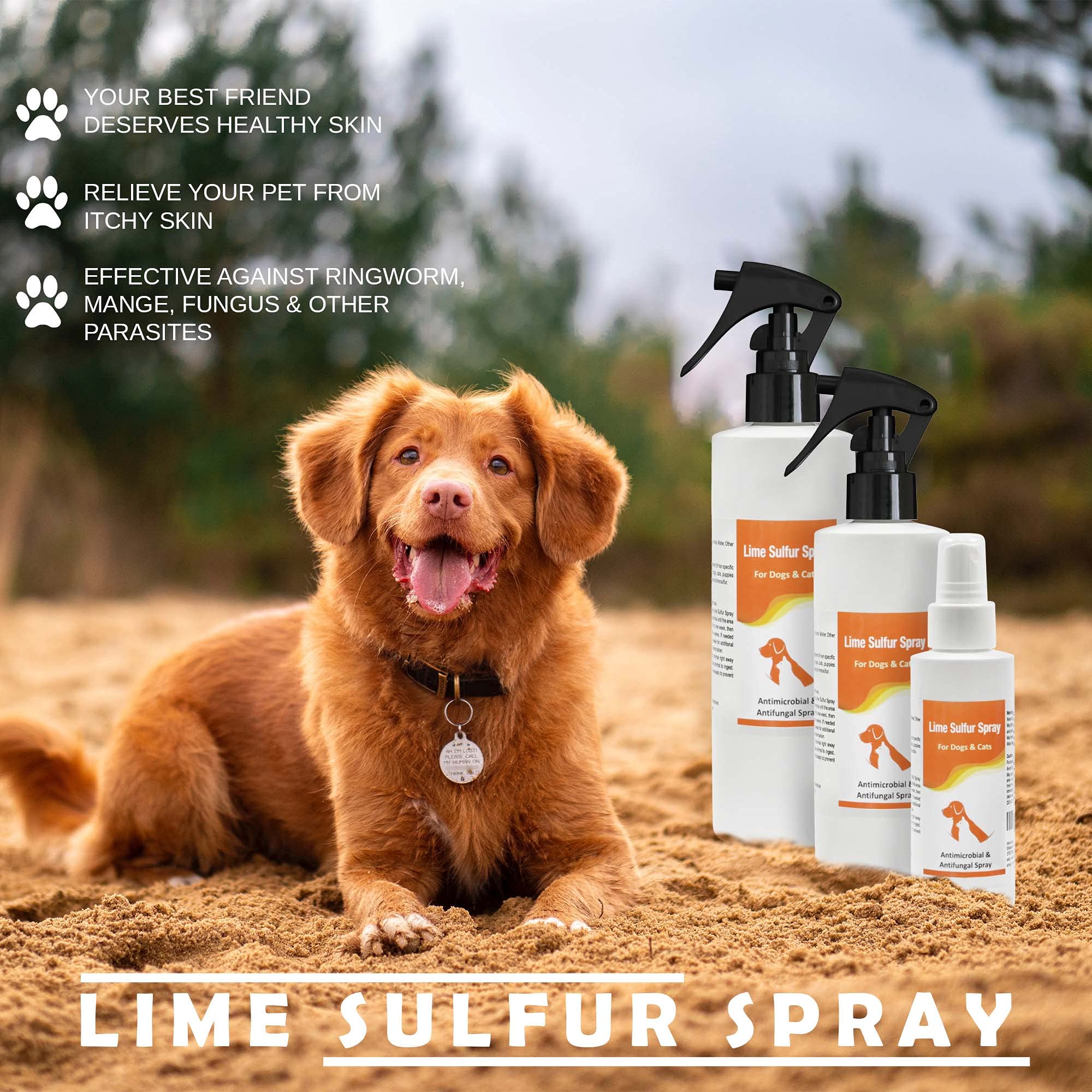 ringworm spray for dogs