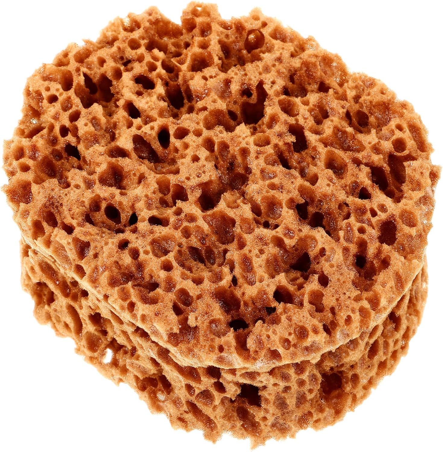 Artistic Paint Sponge Tool for Acrylics Reusable Texture Applicator for Precise Painting and Blending for Various Surfaces and Projects Sea Sponge for Creative Designs