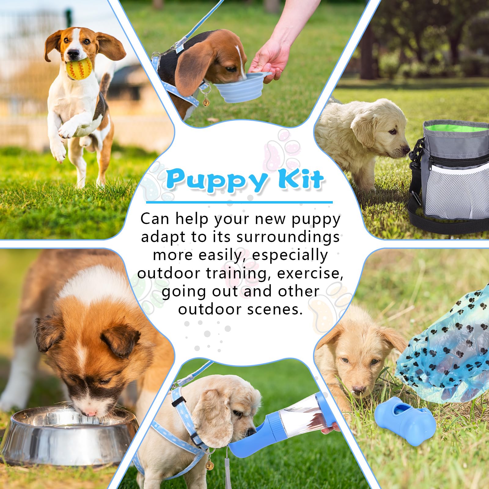 65 Pcs Puppy Supplies Starter Kit Small Dog Essentials Includes Dog Leash, Toys, Bowl, Brushes, Water Bottles, pet Blankets Puppy Accessories for New Welcome Gift Supplies(Cool,Blue) - image 5