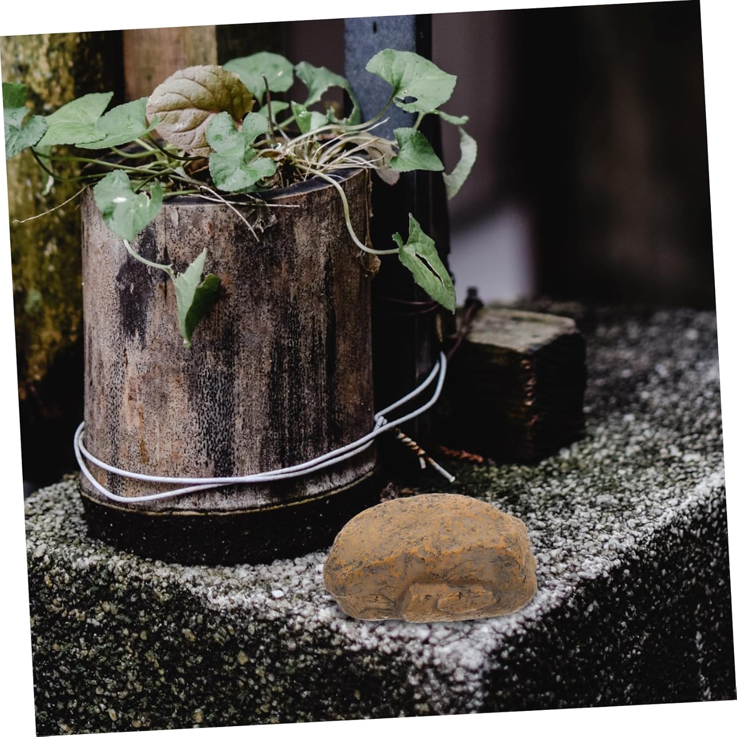 DOITOOL 5pcs Hidden Key Hider for Garden Faux Stone Key Hider Outdoor for Hidden Storage Box