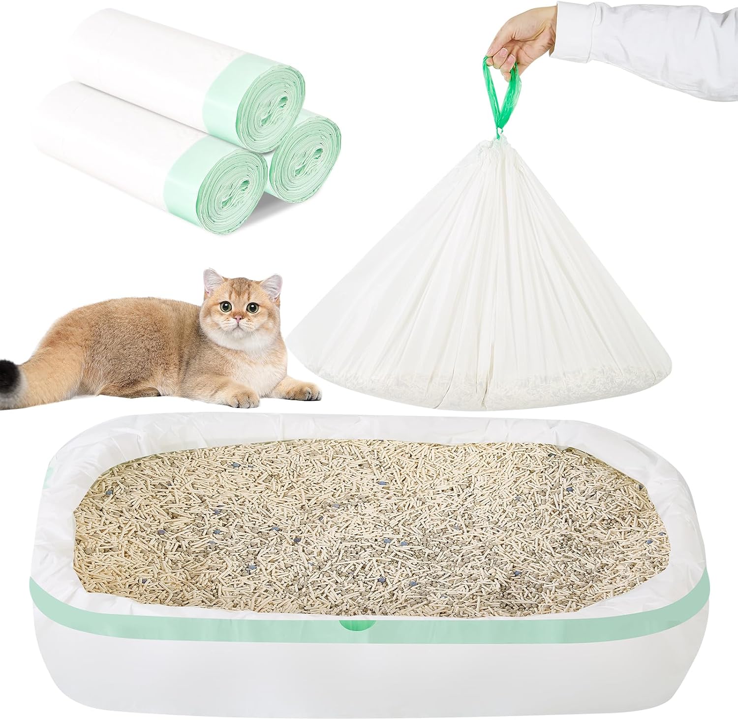 Amazon.com: LoopTime 30 Count 36"x18" Large Litter …