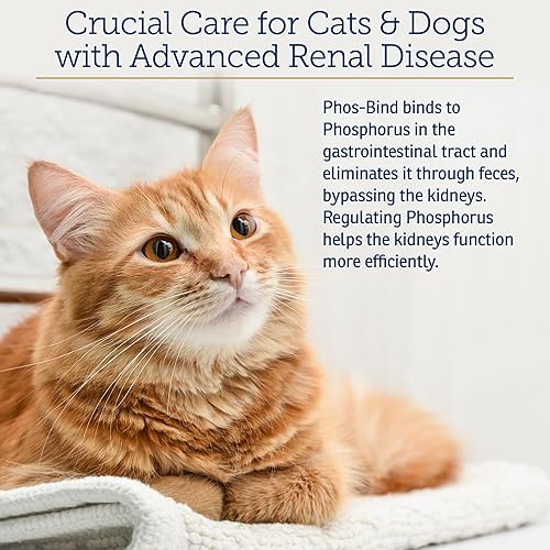 Rx Vitamins Phos-Bind — shown in a real home setting for scale
