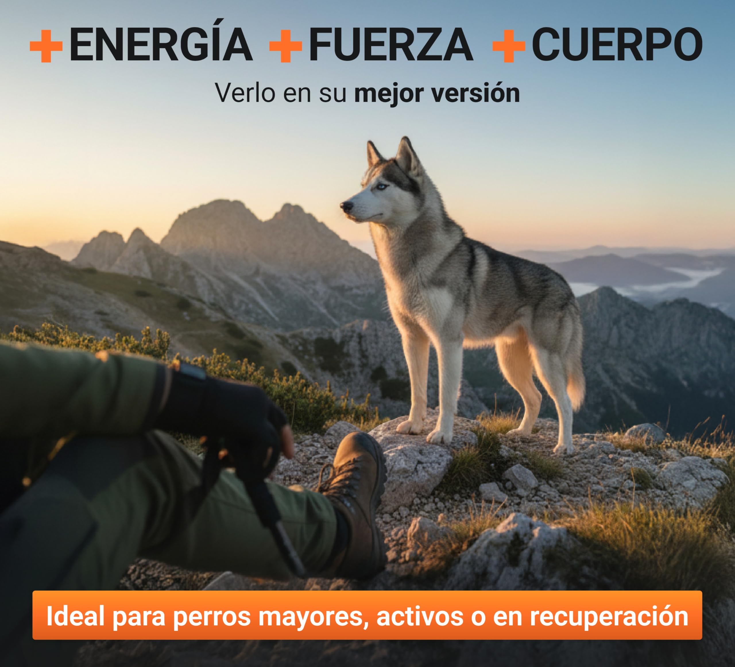Power Tabs – Suplemento para Ganar Peso y Aumentar Masa Muscular en Perros | Tabletas Proteicas de Alto Rendimiento