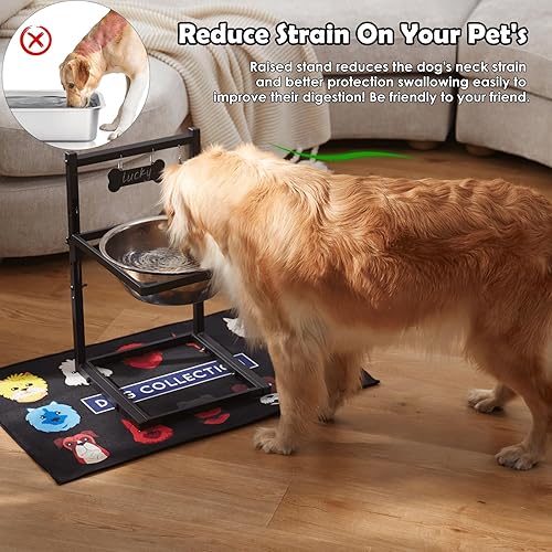 Miniatura 9 de SHAINFUN Cuencos elevados para perros y gatos medianos, soporte elevado para gatos o perros con altura ajustable y dos cuencos de acero inoxidable