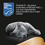 Ver la foto 5