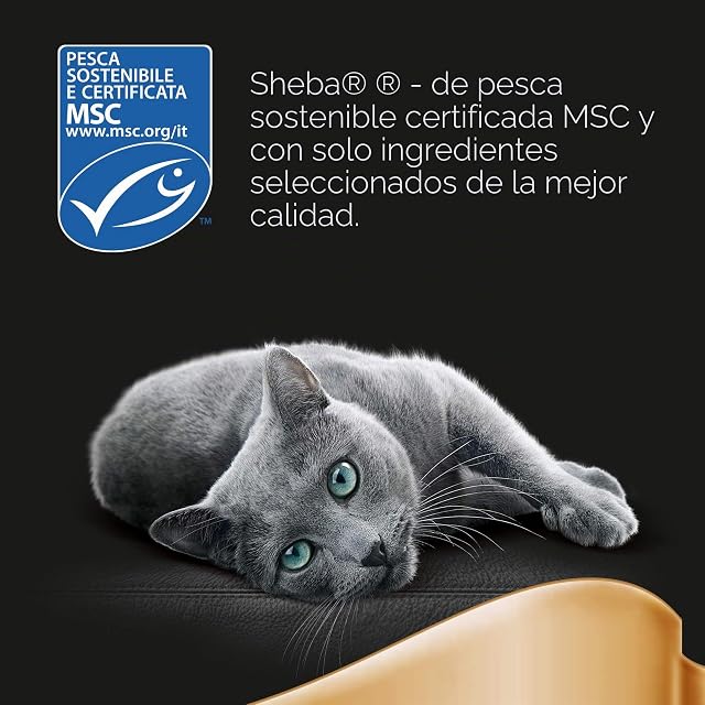 Foto 5 de 8 de Sheba Selection in Sauce - Comida para Gatos en Paquete Fresco, pienso húmedo para los Momentos de mimo Diario