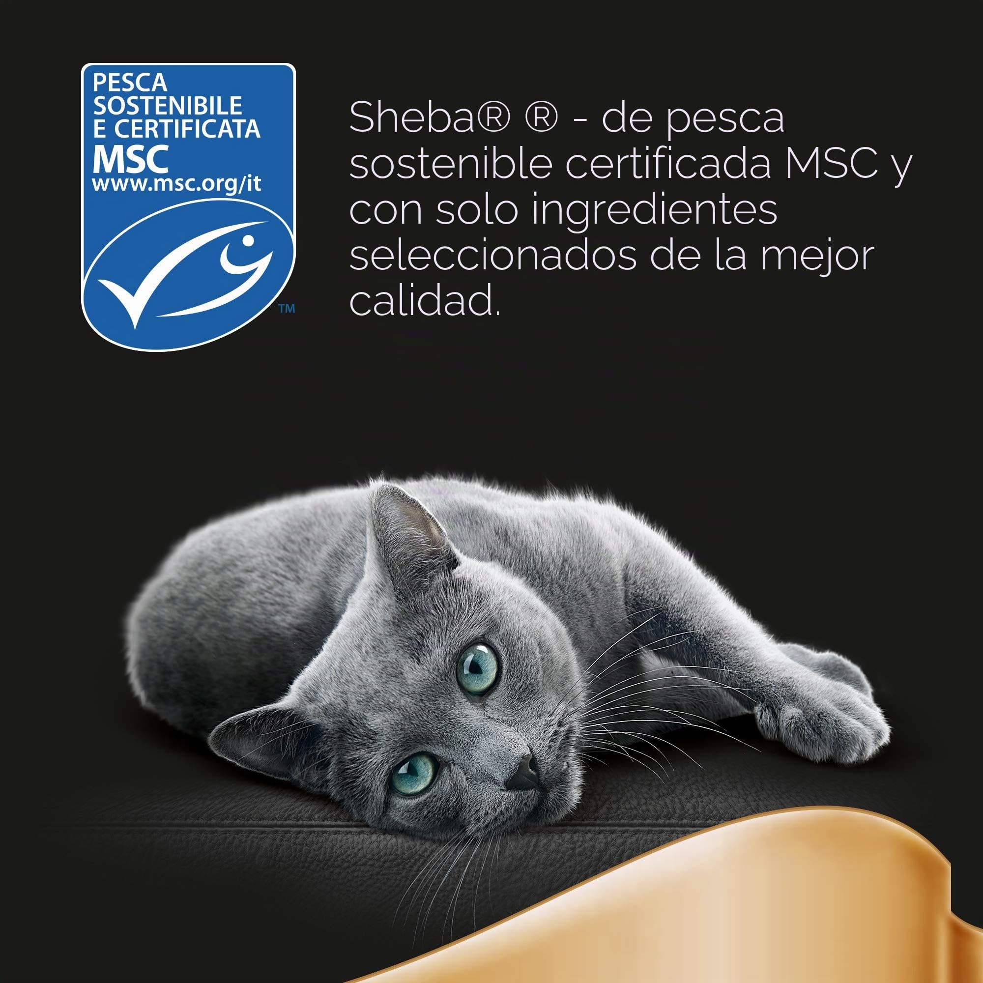 Sheba Délice Gourmands Tokio - Comida húmeda para Gatos con atún y salmón, 12 Paquetes con 6 Bolsas de 50 g, Total 72 bolsitas