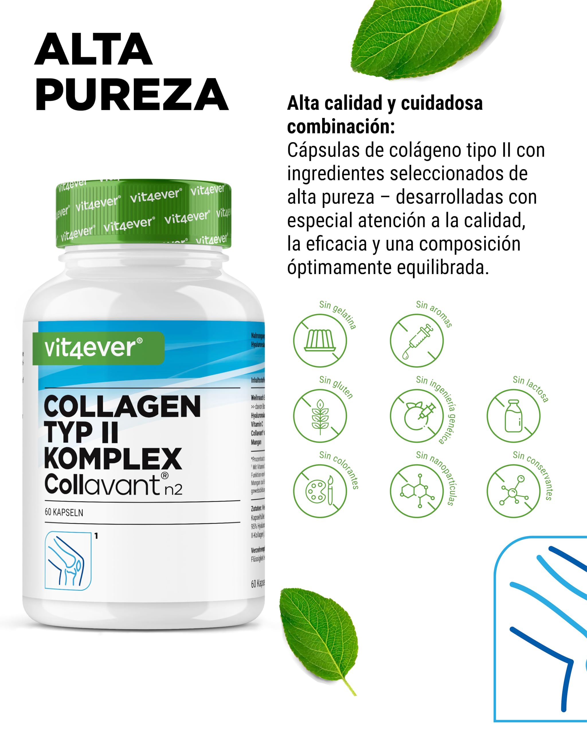 Complejo de colágeno tipo II – con colágeno nativo Collavant n2®, extracto de incienso, ácido hialurónico, vitamina C, manganeso para huesos, cartílago y articulaciones
