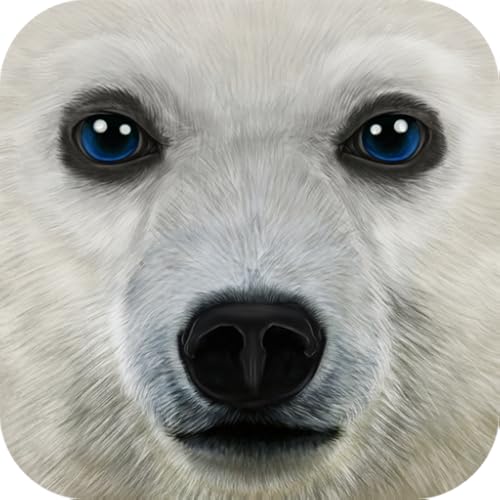 Ultimate Arctic Simulator