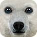 Ultimate Arctic Simulator