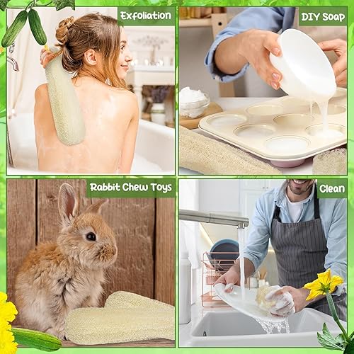 6-Pack Natural Loofah Sponges for Body & Kitchen