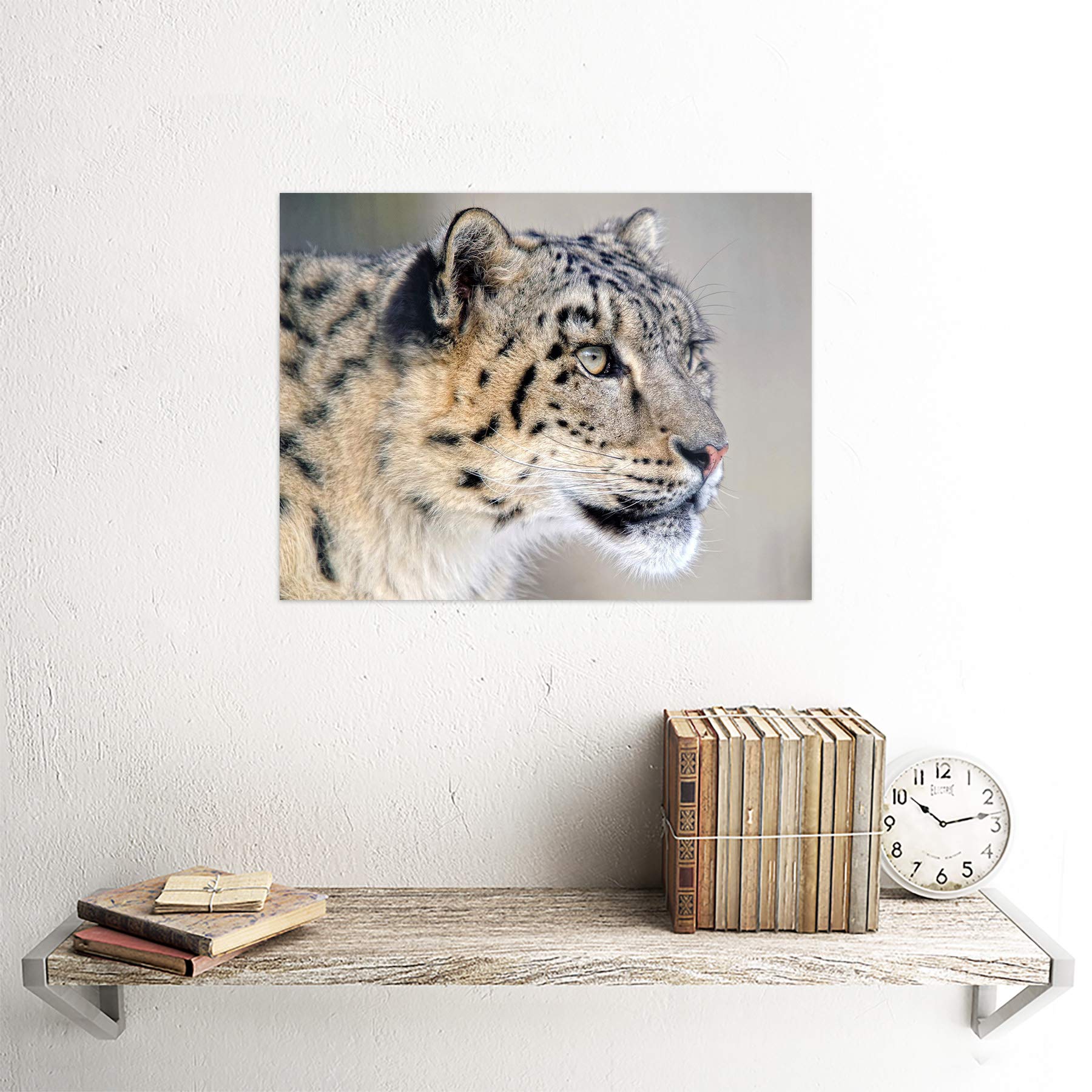 POW(Pictures On Walls) 限定カタログ 2010 Wee Blue Coo Snow Leopard Face Close Up Big Cat Photo Fine Poster