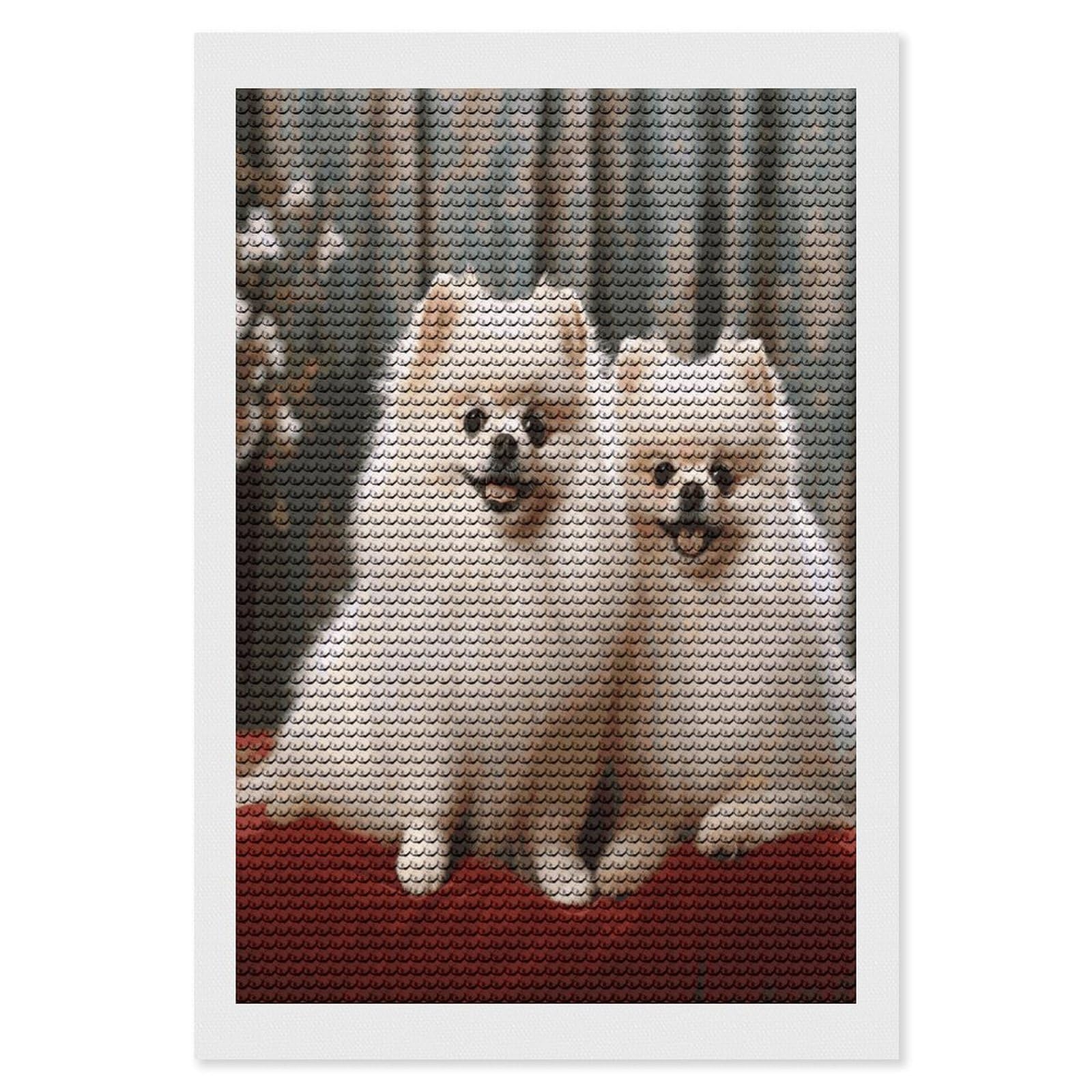 VstaDank Short-haired Pomeranian Dog Diamond Painting Kits Exquisite DIY Full Round Drill Diamond Dots Painting for Adults Beginner Diamond Photo Paint with Diamond Picture Art Wall Decor 8"x12"