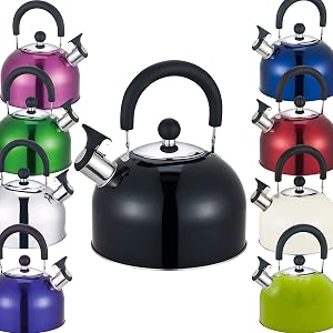 CafeTEq Stainless Steel Kettle