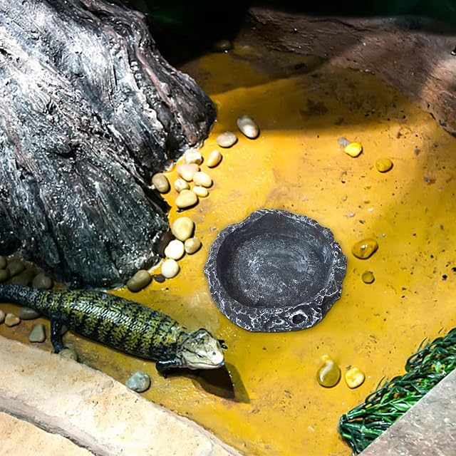 Foto 3 de 8 de delr Cuenco de agua para reptiles, comedero de resina para Crawler