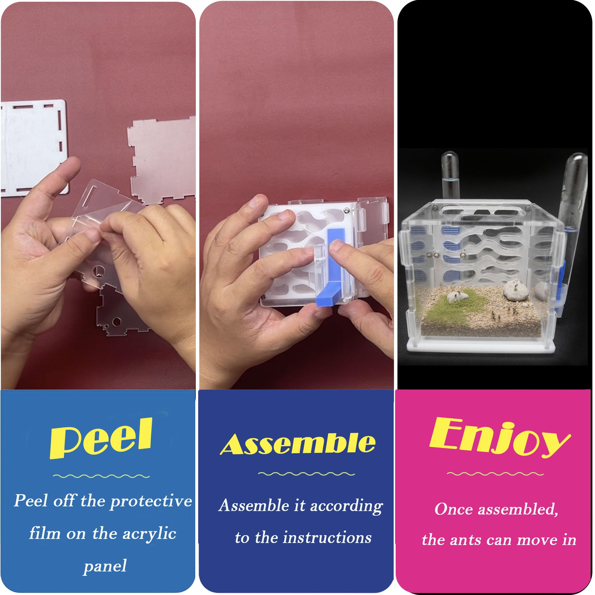 Fourmilière Acrylique Jaune - Kit d'élevage Complet avec Hydratation Auto - Nid à Fourmis Professionnel pour Débutants - Labyrinthe d'observation Nature (sans Fourmis)