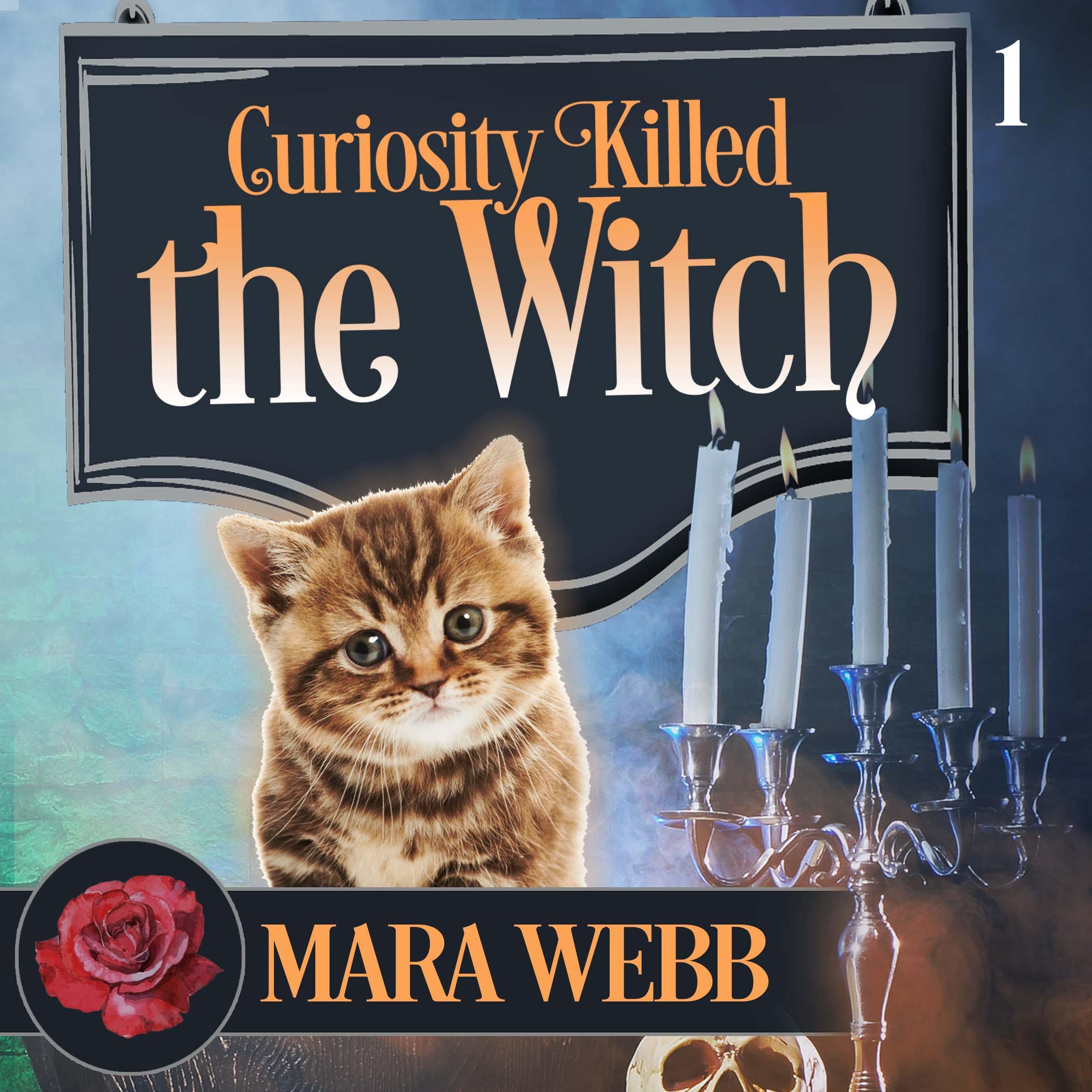 Cover art for Curiosity Killed the Witch