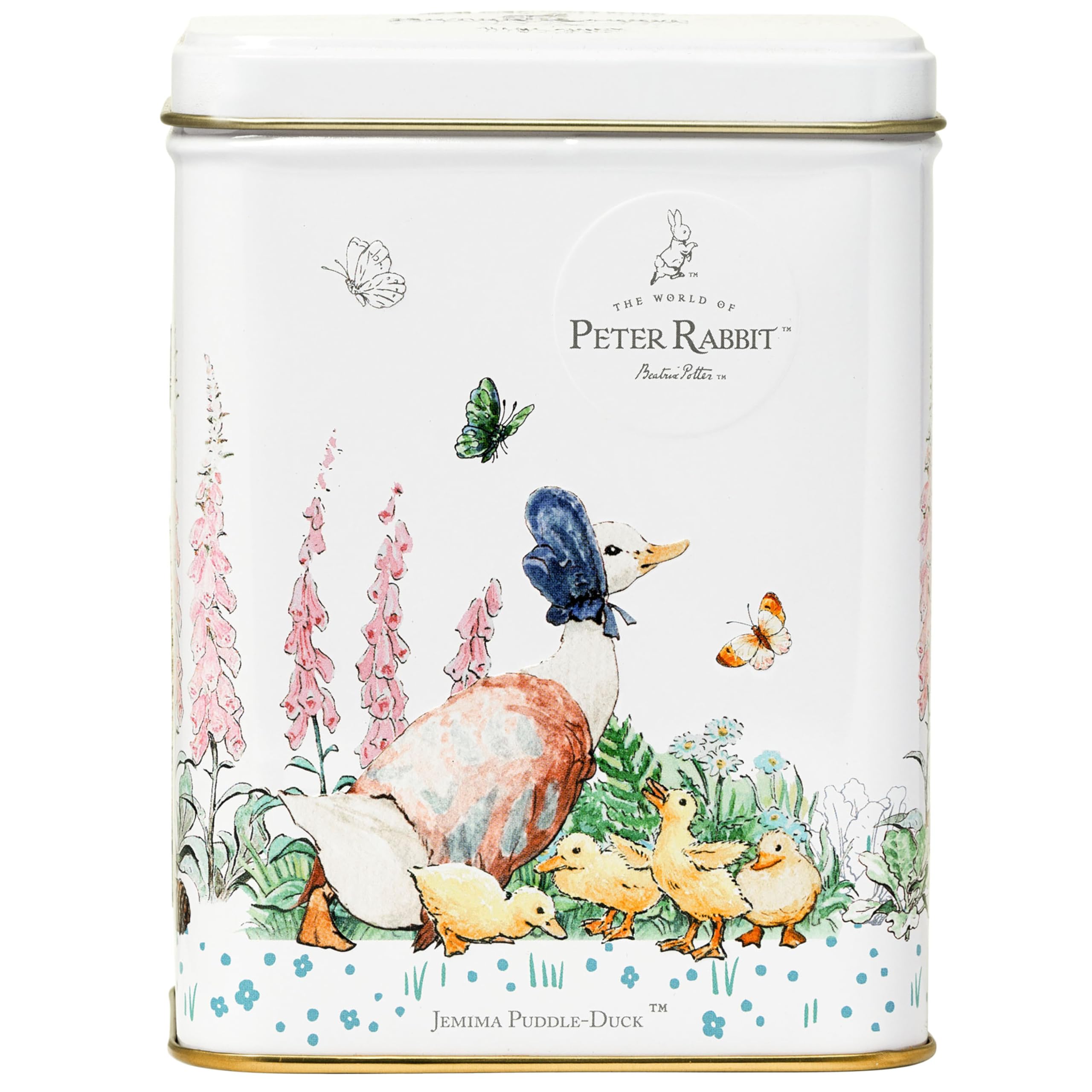Amazon.com : New English Teas Peter Rabbit Tea Tin with 40 English