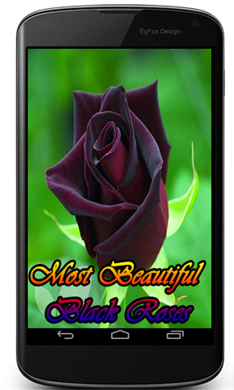 Most Beautiful Black Roses - App on Amazon Appstore