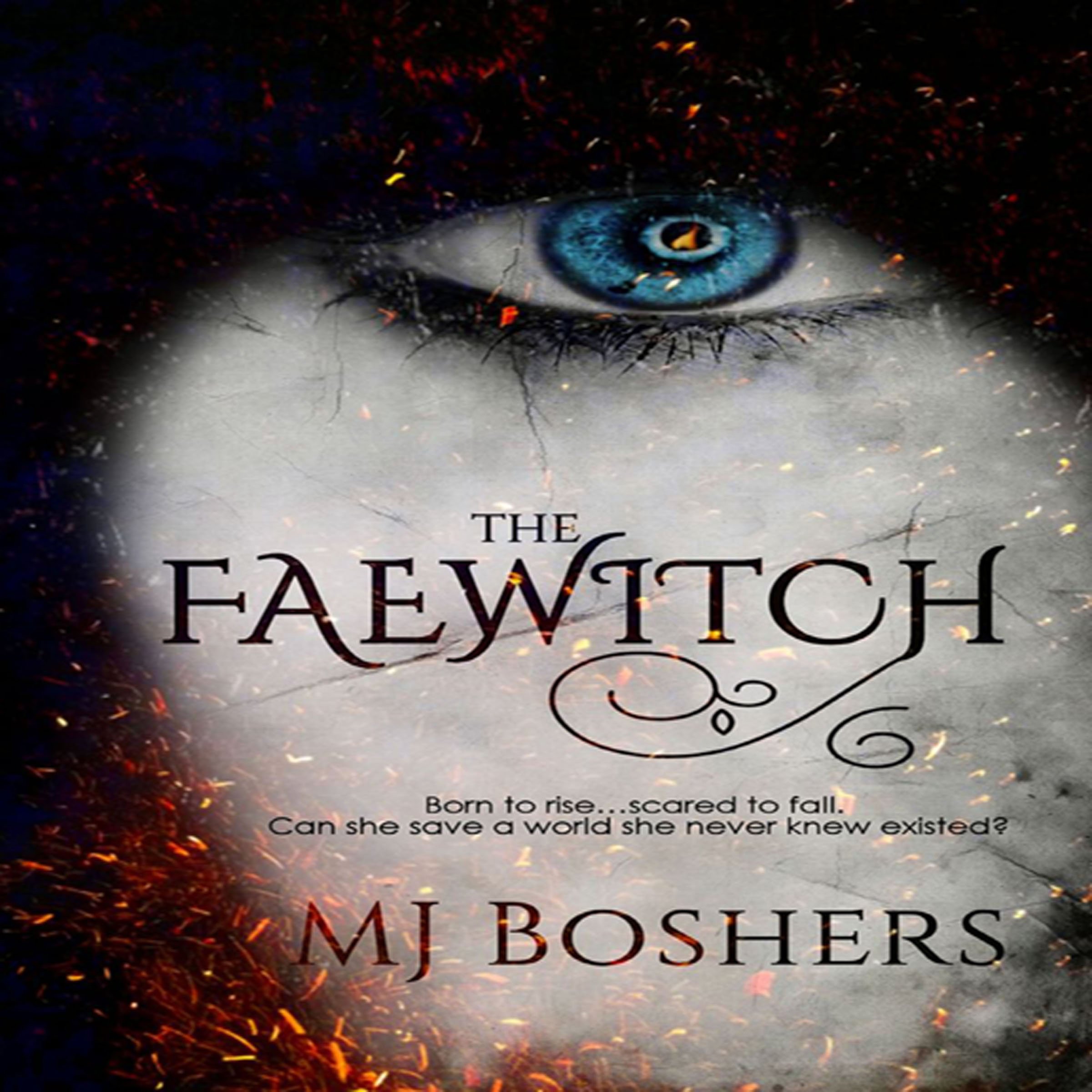 Cover art for The Faewitch