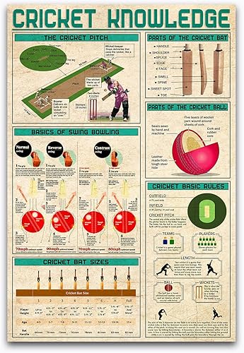 JIUFOTK Señales de metal de conocimiento de cricket, trucos de tecnología de grillo, infografías, pósteres de club, decoración de pared para