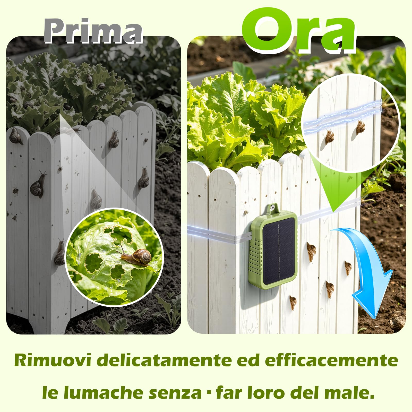 Kit di Recinto Elettrico Anti-Lumache, Pannello Solare 2W e Batteria al Litio Integrata 2.4Ah, Dispositivo di Protezione con Nastro Recinto 12m e Accessori Anti-Lumache, per Protezione Giardini