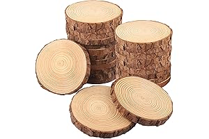 GNIEMCKIN Non-Uniform Wood Slices 6 Inch (3 Inch in Diameter Variations)