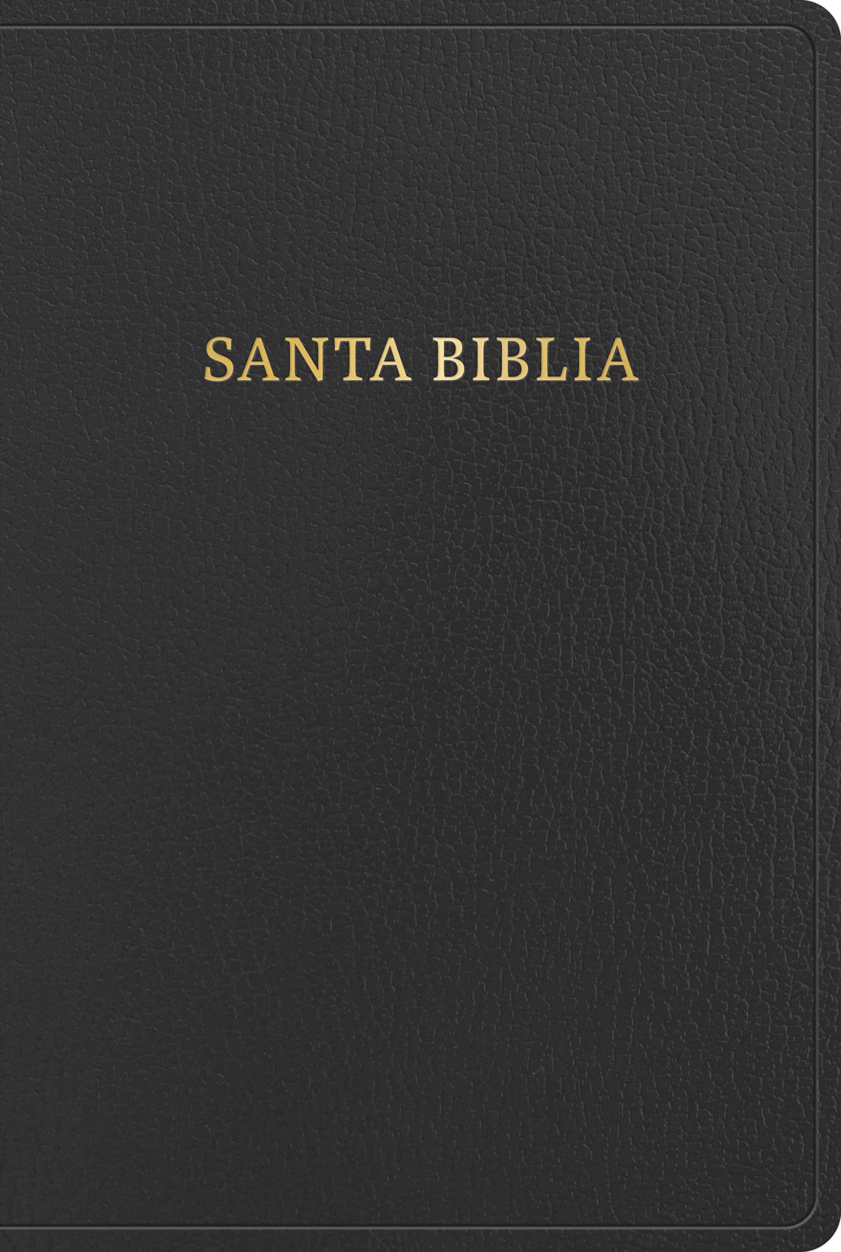 RVR 1960 Biblia letra gigante, negro imitacion piel (Edicion 2023): Con referencias. Nueva tipografia (Spanish Edition)