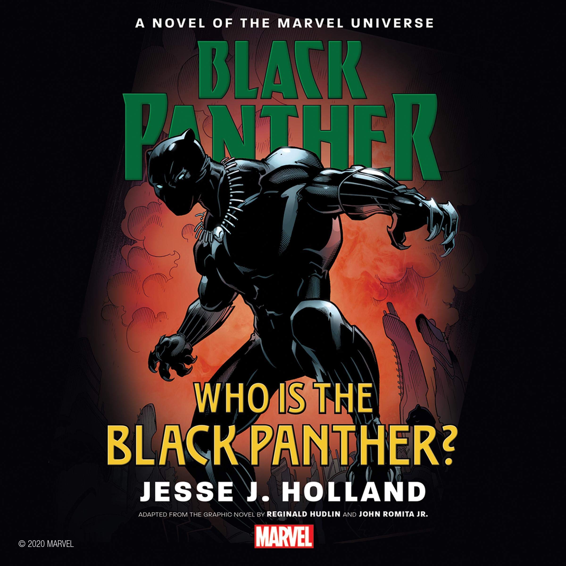 Cover art for Who is the Black Panther?