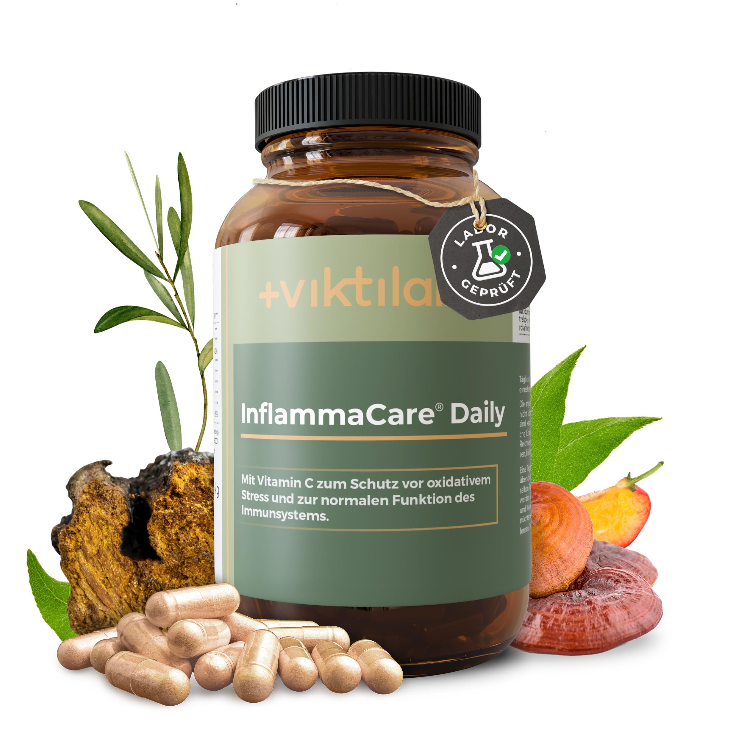 InflammaCare® Daily - mit Grüntee-, Olivenblatt-Extrakt & Vitalpilzen - hochdosiert - mit EGCG & Vitamin C - 6 Kapseln pro Tag - 180 vegane - ohne Zusatzstoffe
