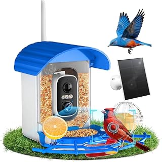 NIORSUN Vogelfutterhaus mit Kamera 2K HD, Solarbetrieben, KI Vogelerkennung, Vollfarbe Nachtsicht, Sofort-Benachrichtigung & Automatisch Aufnahme von Vogelvideos 丨IP65丨5200mAh丨2.4 GHz WiFi